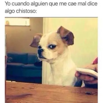 Como nunca antes