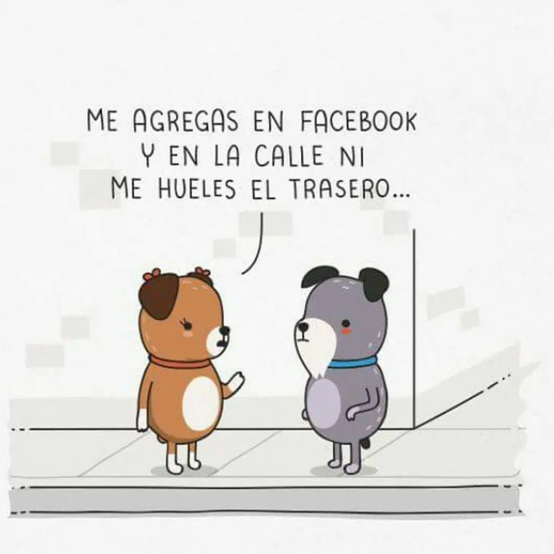 imagenes