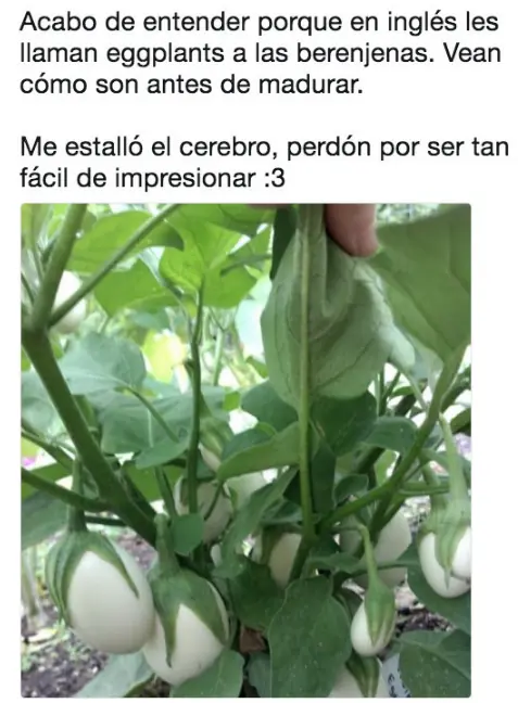 Humor accidental: Malos dias los tiene cualquiera