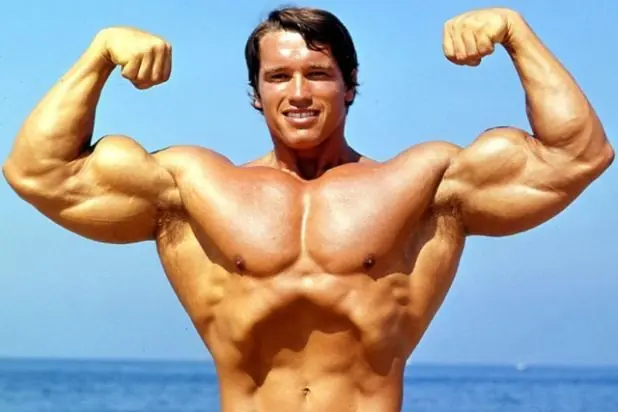 Por qué Arnold es un marica ahora?