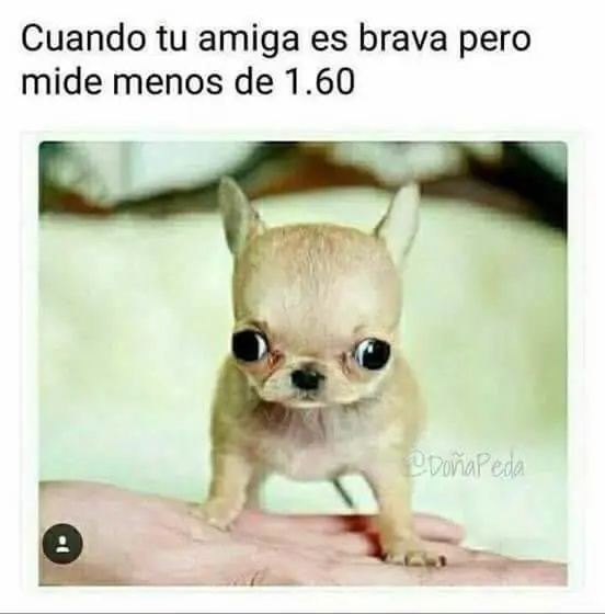 Personas