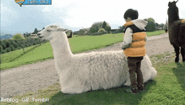 Grandes fracasos epicos en gif