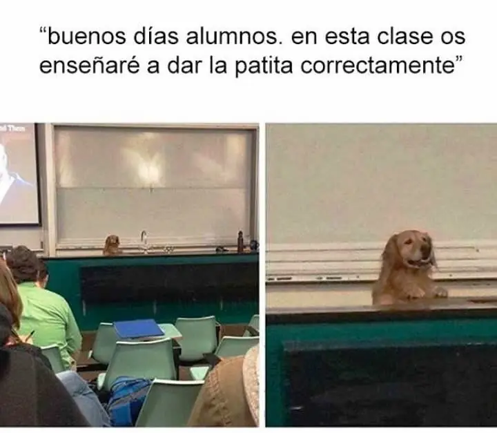 Humor psicológico: magnifica tarde de humor