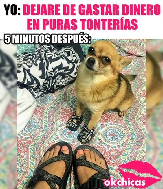 Afloja