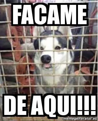 cuando