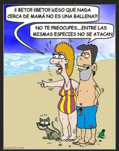 tiempo