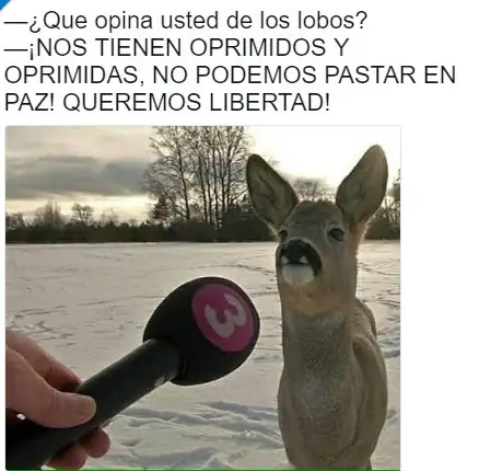 ganamos