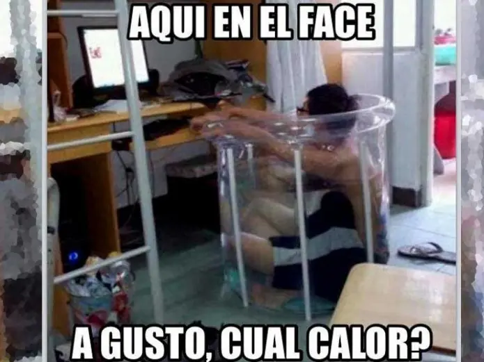 madrugador