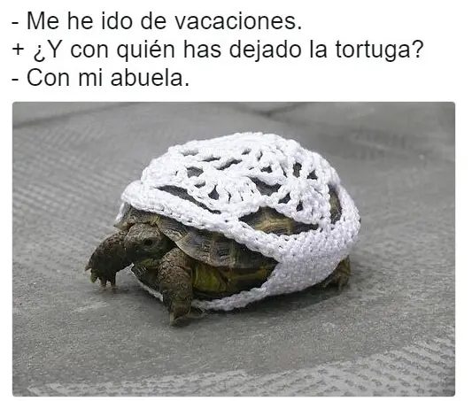 Humor 2018: Especial para pasar un año de alegría
