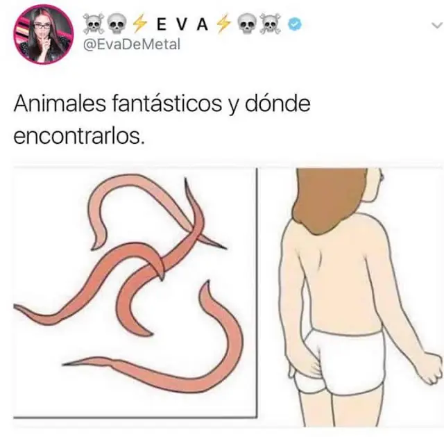pasar un