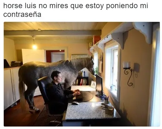 divertida