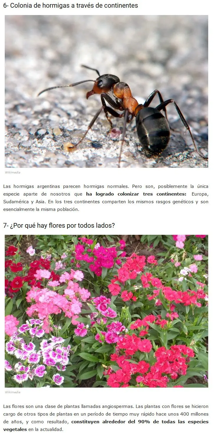 infografias