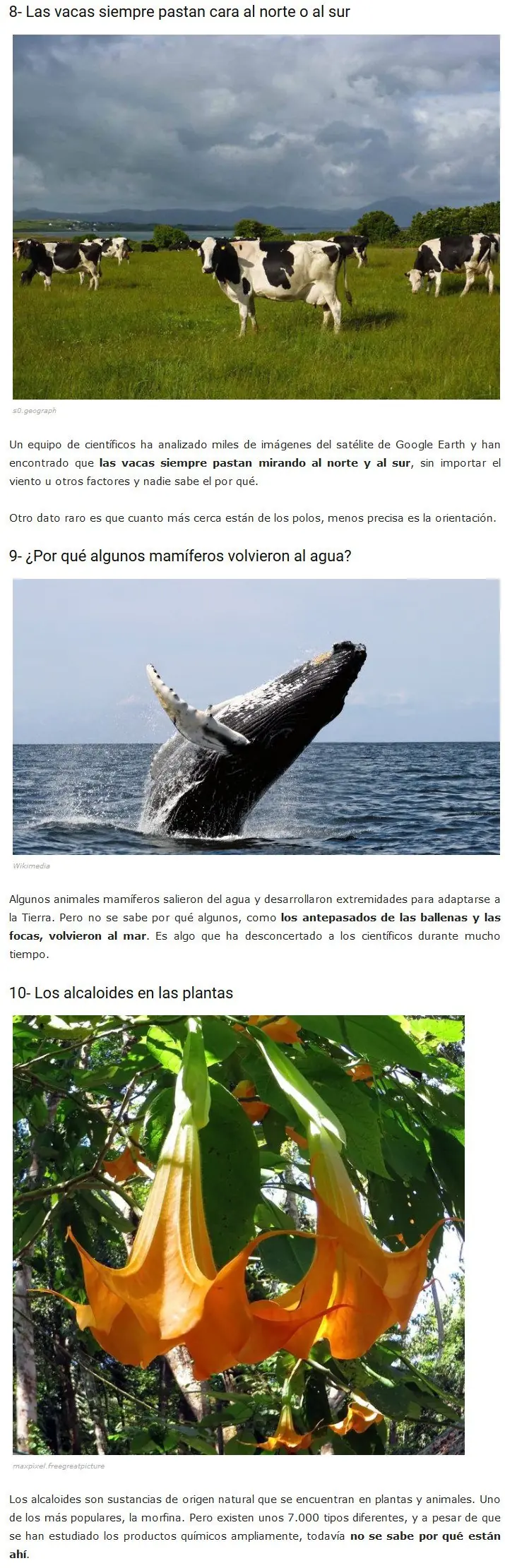 ciencia