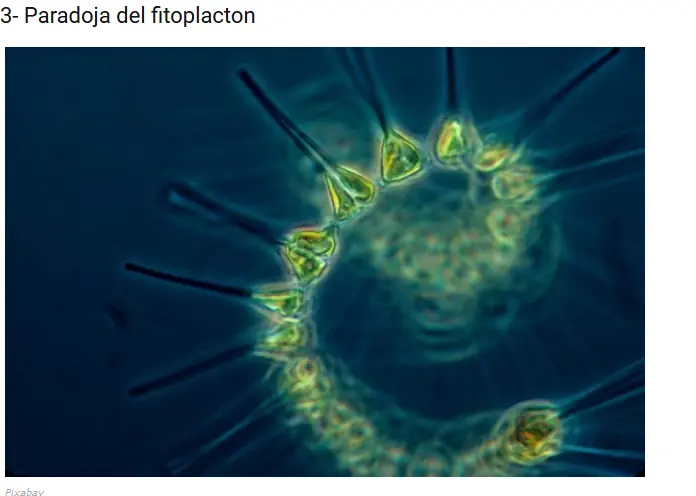 enfermedades raras