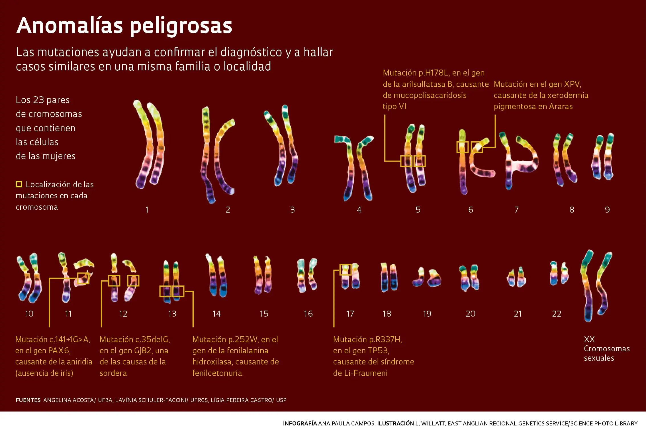 imagenes curiosas