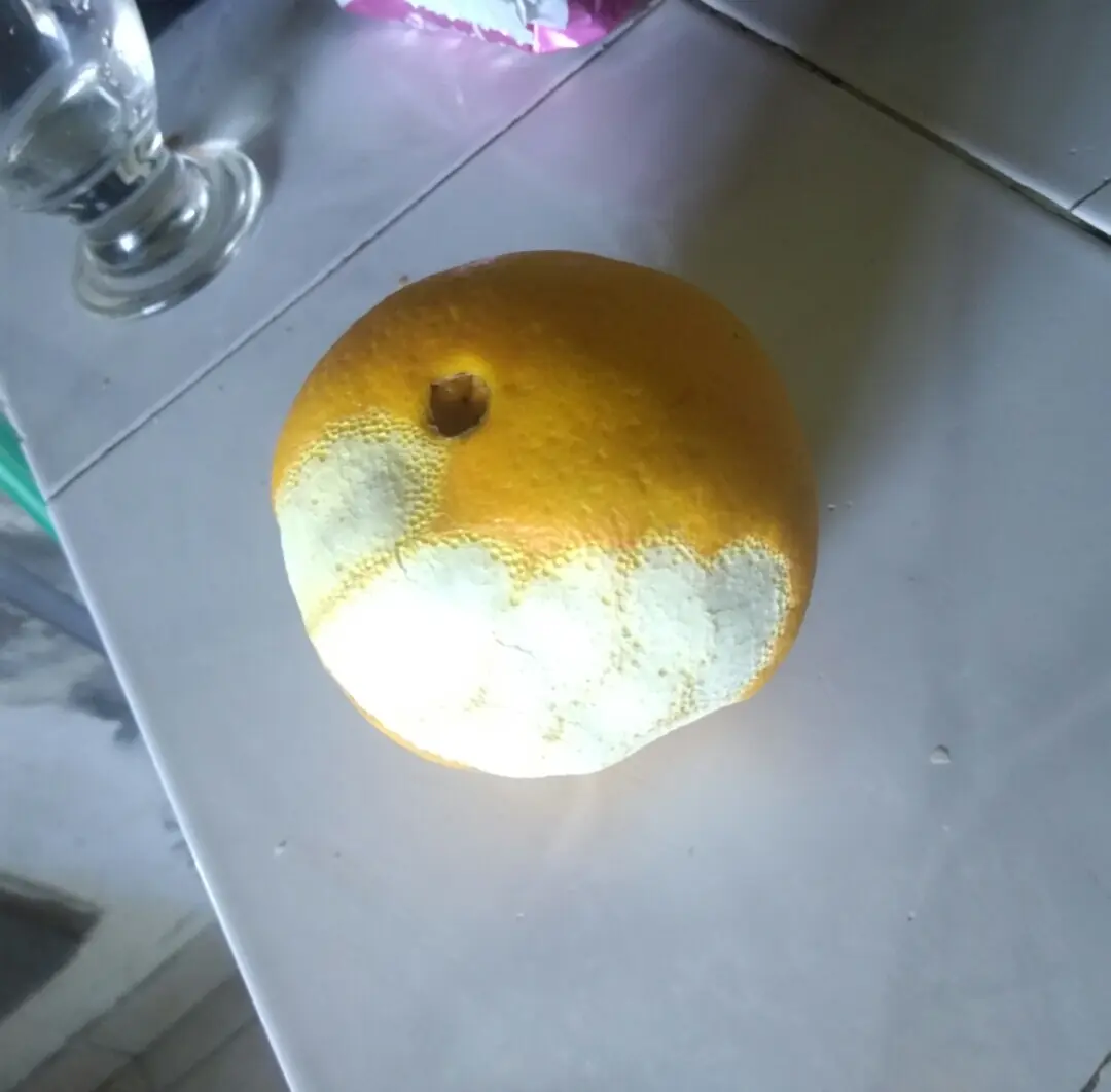 Se te rompió el mate? Mate de naranja