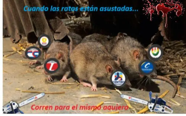 MemesColombia