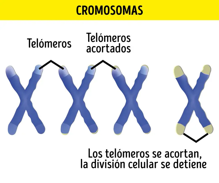ciencia