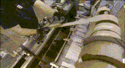 Solosexuales, los que solo tienen sexo con sigo mismos