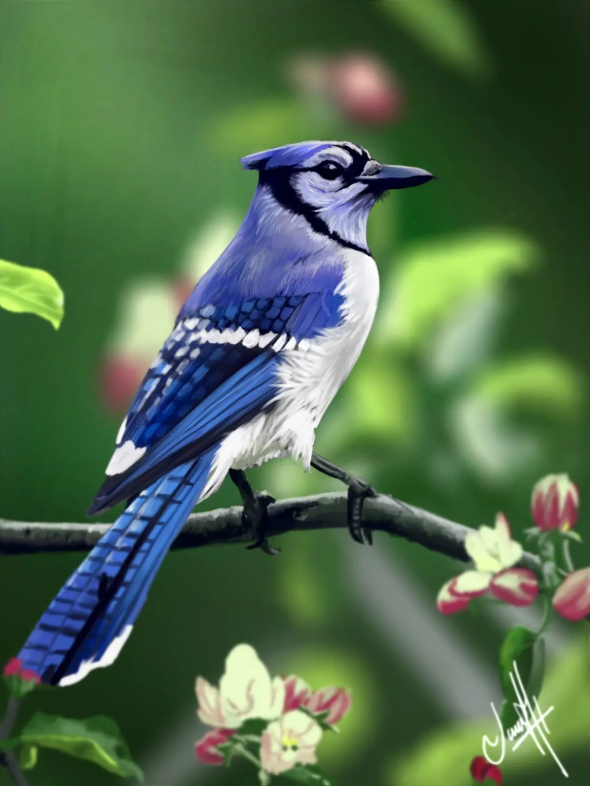 krita
