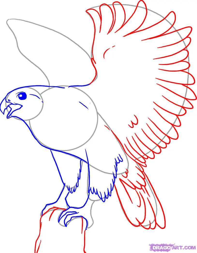 dibujar