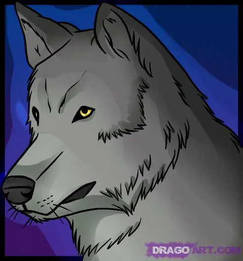 Como dibujar bien (Animales)(parte 1)