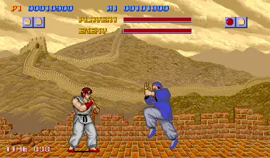 fighter fighter
