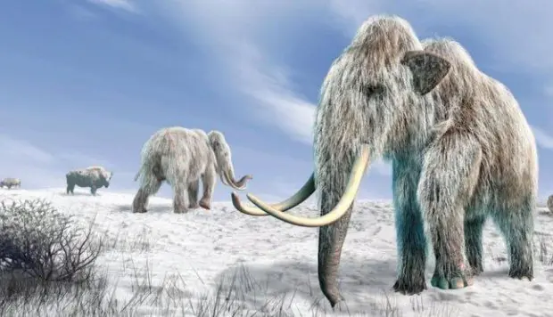 Cada vez más cerca la posibilidad d clonar animales extintos
