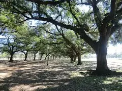 texas