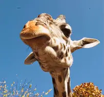 turismo