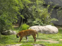 zoologicos