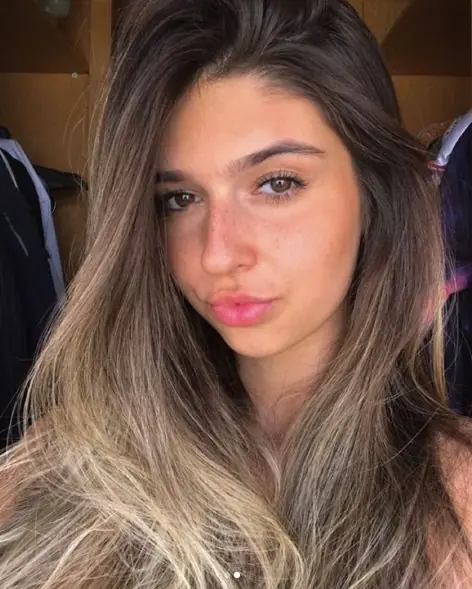 sur de brasil