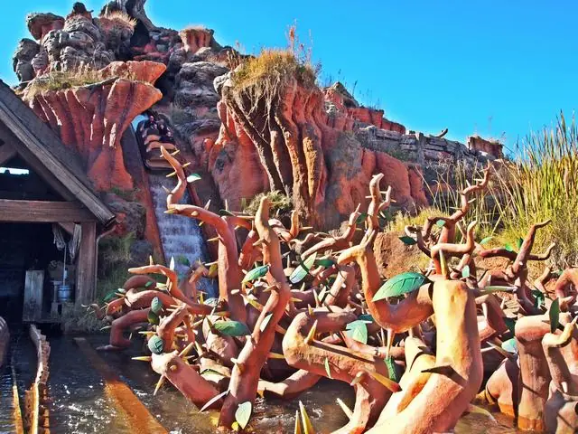disney disney