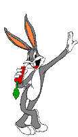 2008 2008