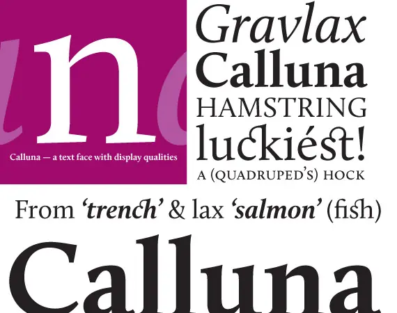 fonts