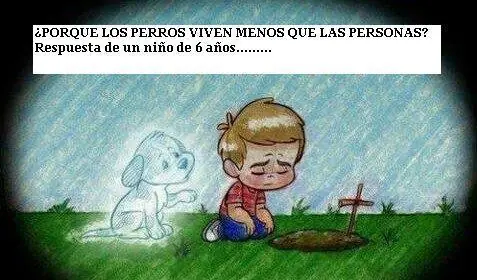 ¿Por qué los perros viven menos que las personas?