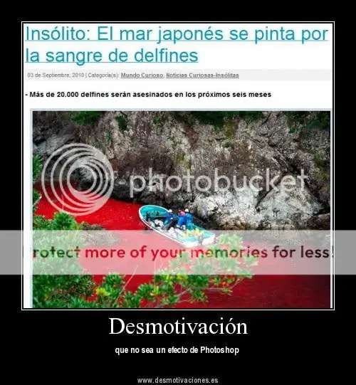 imagenes