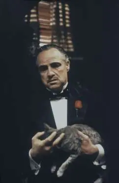 Coppola