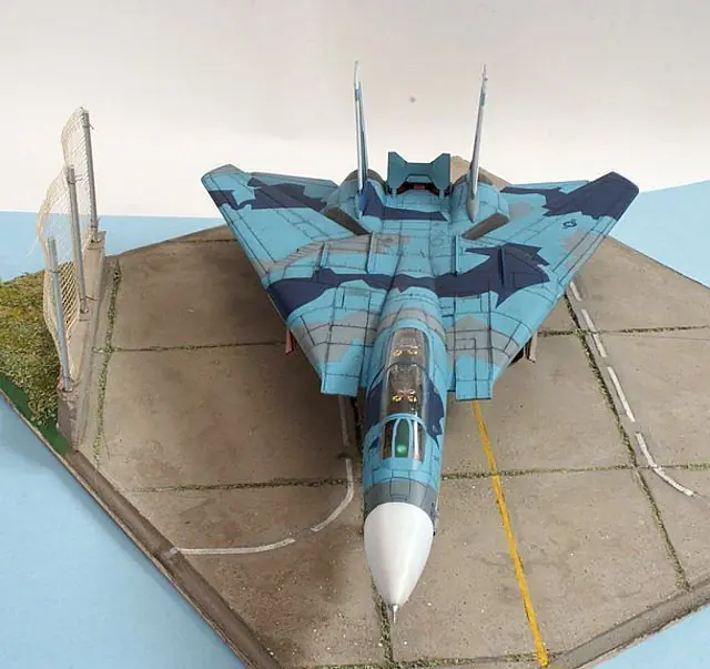 tomcat