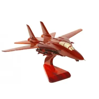 F-14 Tomcat
