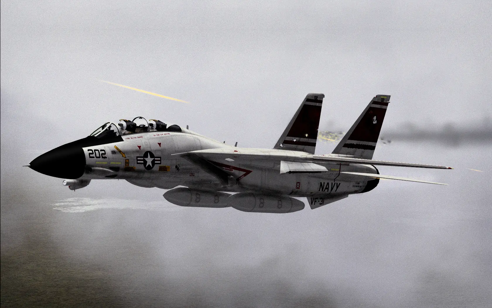 F-14 Tomcat
