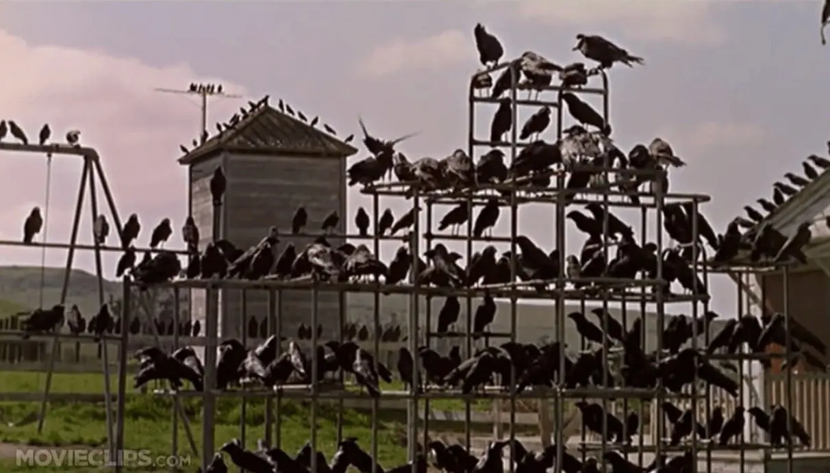 Trucos Que Uso El Cine Sin Que Nos Dieramos Cuenta(Megapost)