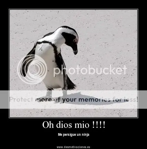 Imagenes graciosas