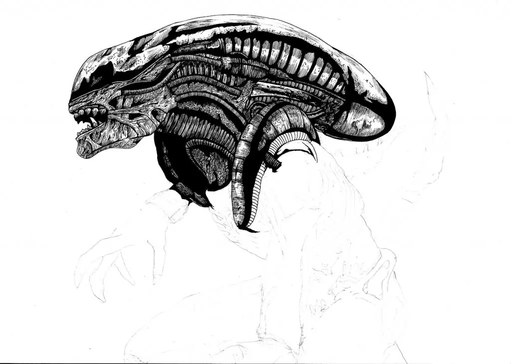 avp avp