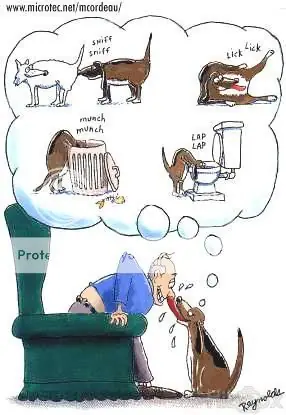 Imagenes graciosas