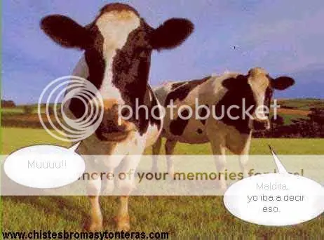megapost