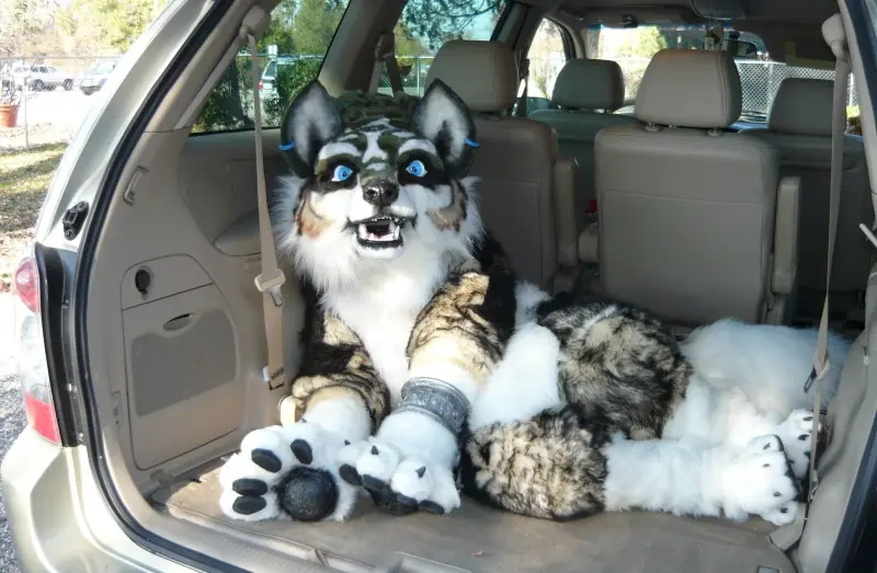 El Furry fandom....