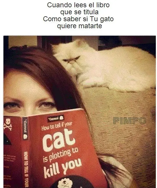 frases de la vida