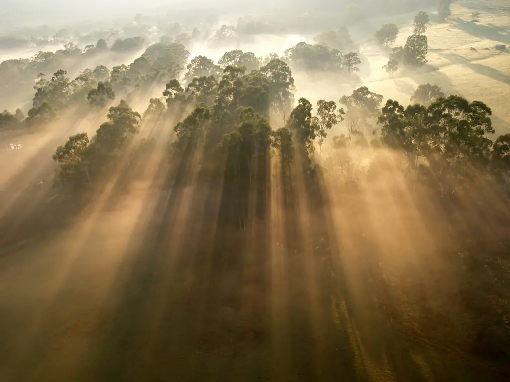fotografia de niebla