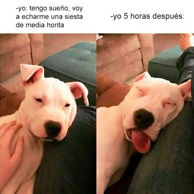 martes